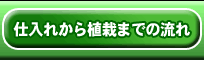 仕入れから植栽までの流れ