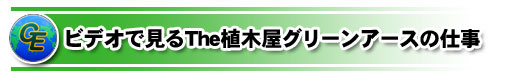 ビデオで見るThe植木屋グリーンアースの仕事